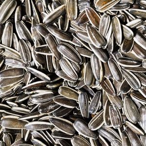 Sunflower seeds